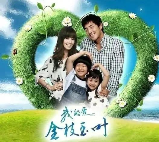 曾在中央台播出的韩剧有哪些,那些年霸屏湖南卫视的韩剧