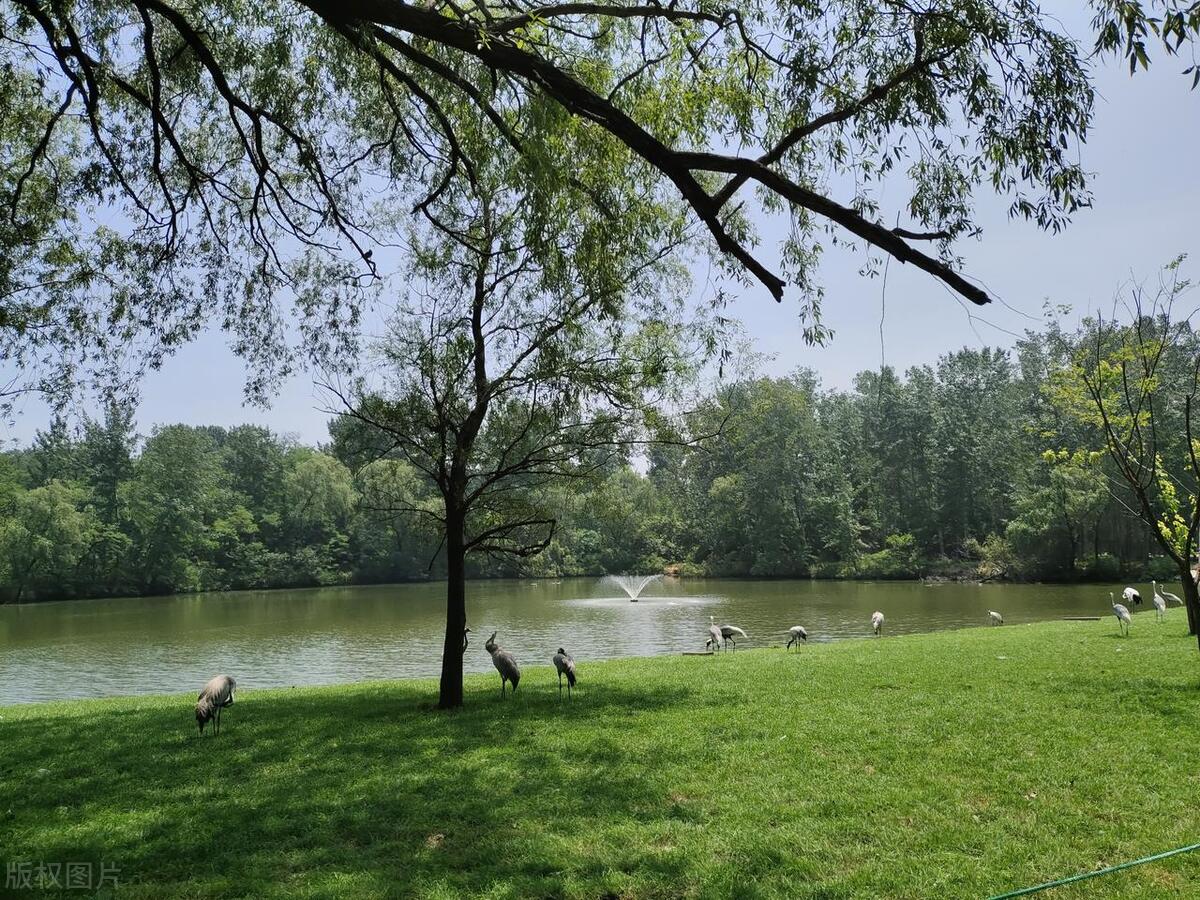 2022年春节秦皇岛免费景点一览表,秦皇岛必游十大景点