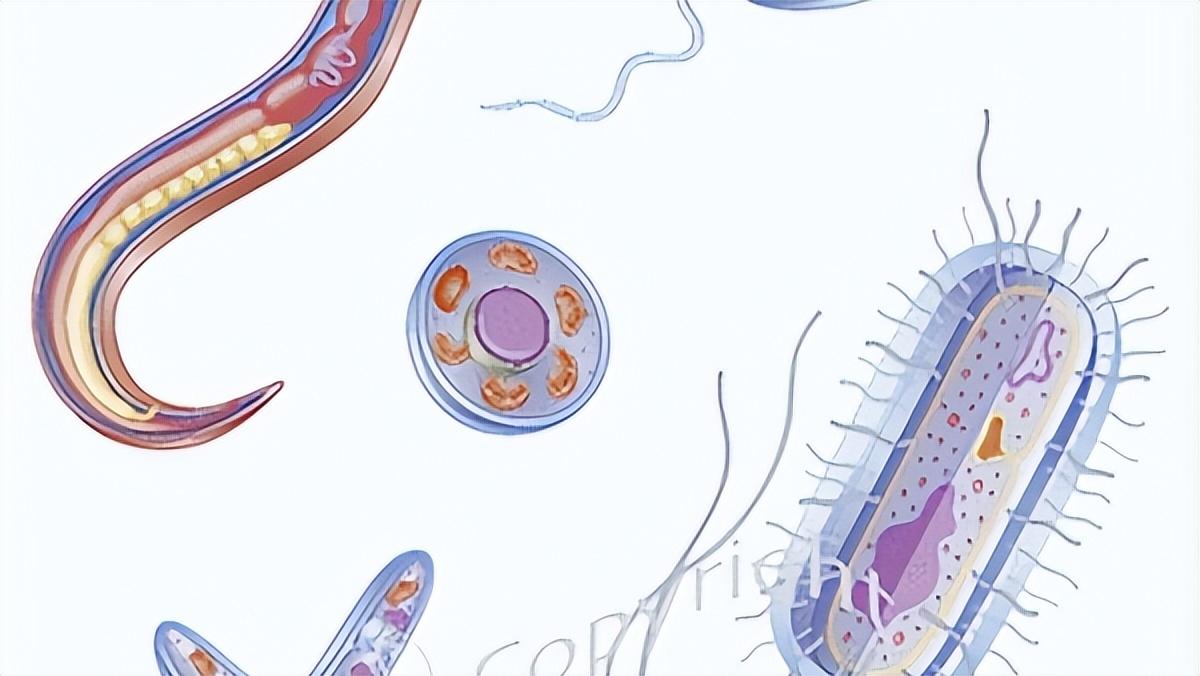 宫颈疾病会引起外阴瘙痒,女外阴瘙痒是什么原因引起的