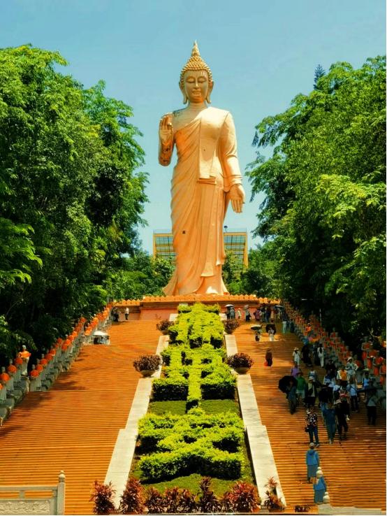 落叶知秋愿所有美好如期而至,落叶知秋愿所有美好不期而遇