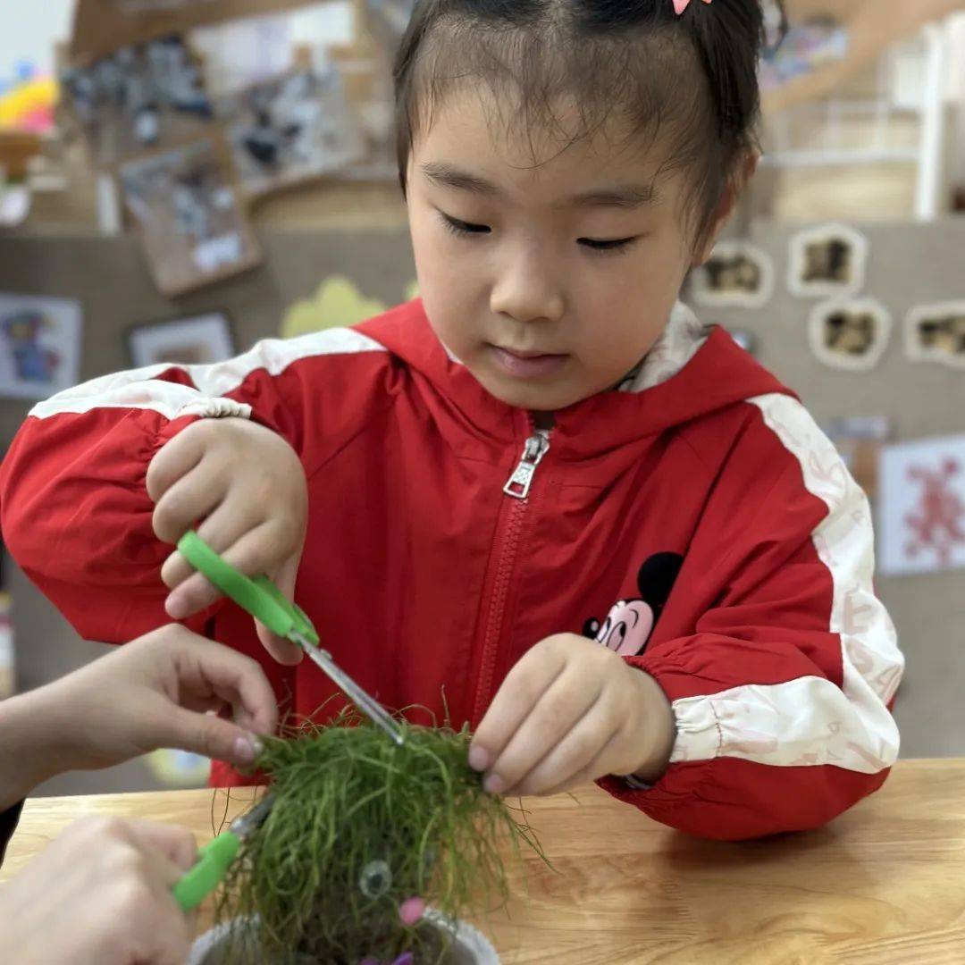 你好，草娃娃！——庆安乐儿堡幼儿园小二班课程故事