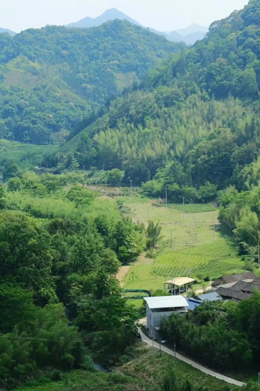 闫群：热烈的群山