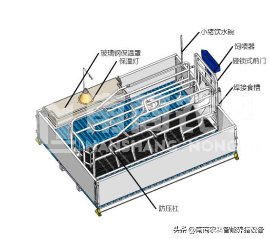 母猪产床尺寸一般是多少,自制母猪产床尺寸是多少