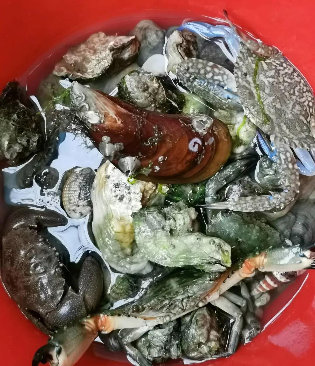 深圳三门岛旅游攻略路线,广东深圳三门岛旅游