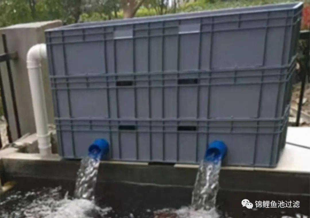 锦鲤鱼池下过滤池底粪便如何清除,锦鲤鱼池过滤仓用什么做盖子好