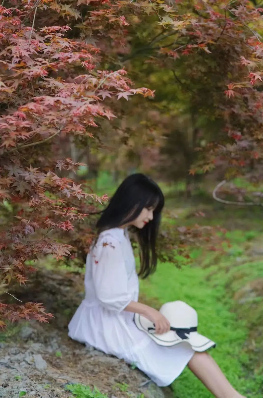 提前盛开！成都市区这个被偏爱的宝藏地又上新，即将刷爆全网