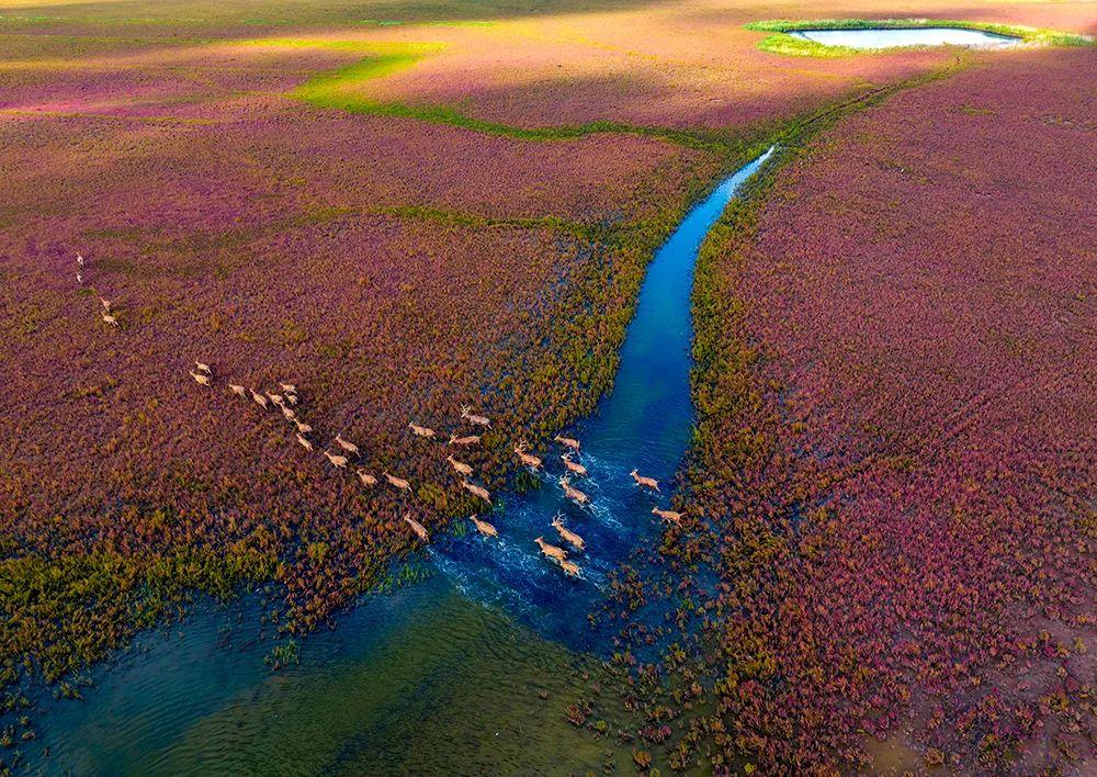 磨金石教育摄影技能干货分享||“大美中国”主题摄影作品欣赏