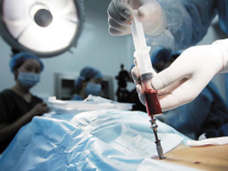 父母离异9岁女孩确诊血癌,九岁女孩患血癌姑姑卖车卖嫁妆