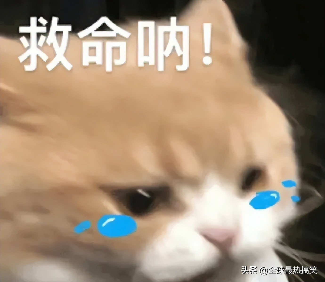 告诉大家一个买手机不花钱的方法,有什么方法可以不花钱买手机