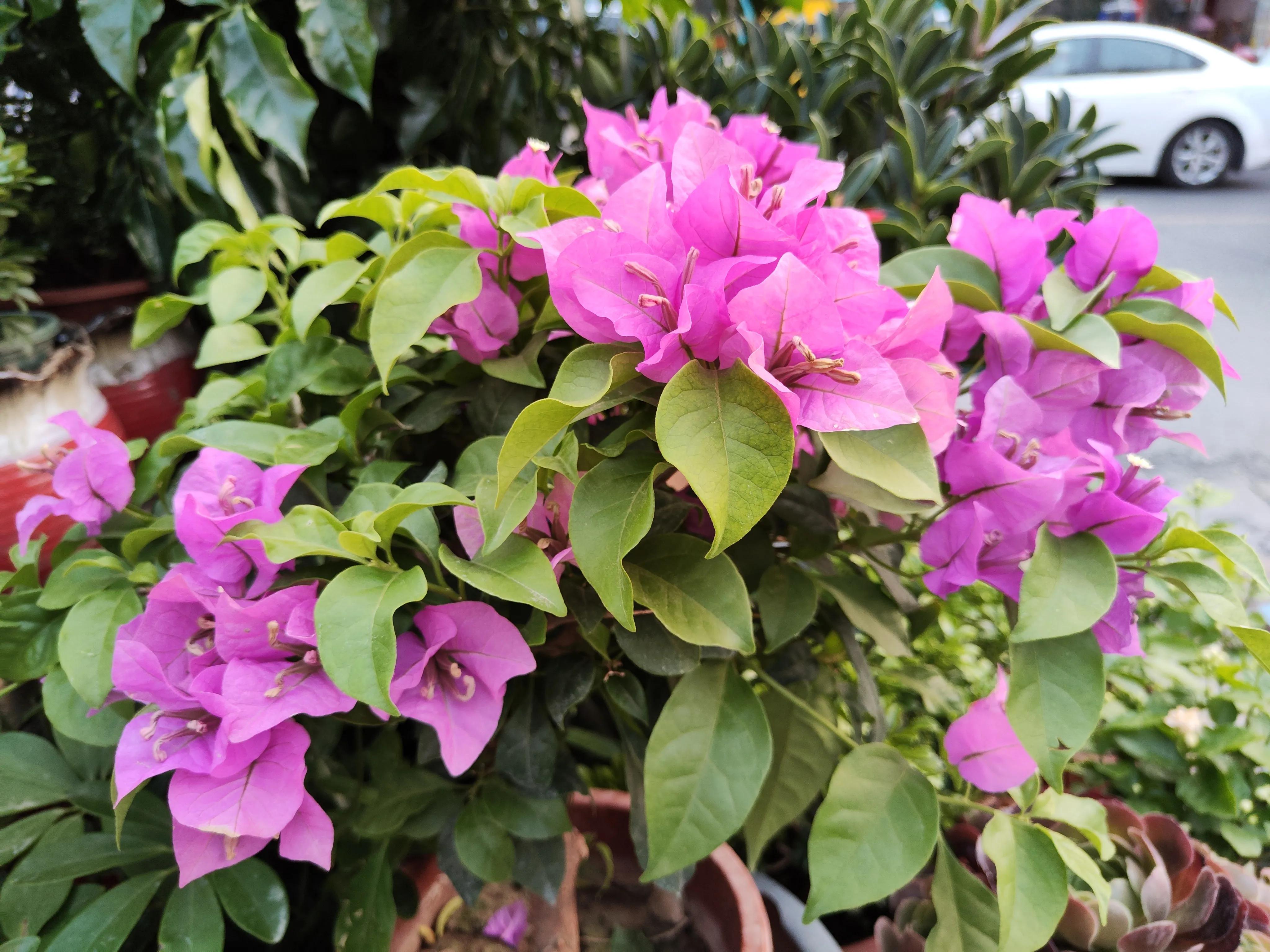 炎热的夏日突然停电了,下雨停电了没有网络怎么办