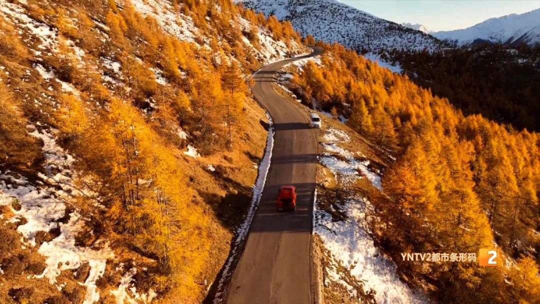 秋天的云南哪里漂亮又美丽,有一种美叫云南的秋天美景