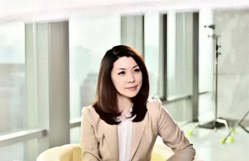 e租宝丁宁判了多少年,丁宁是如何一步一步发展起缅北的