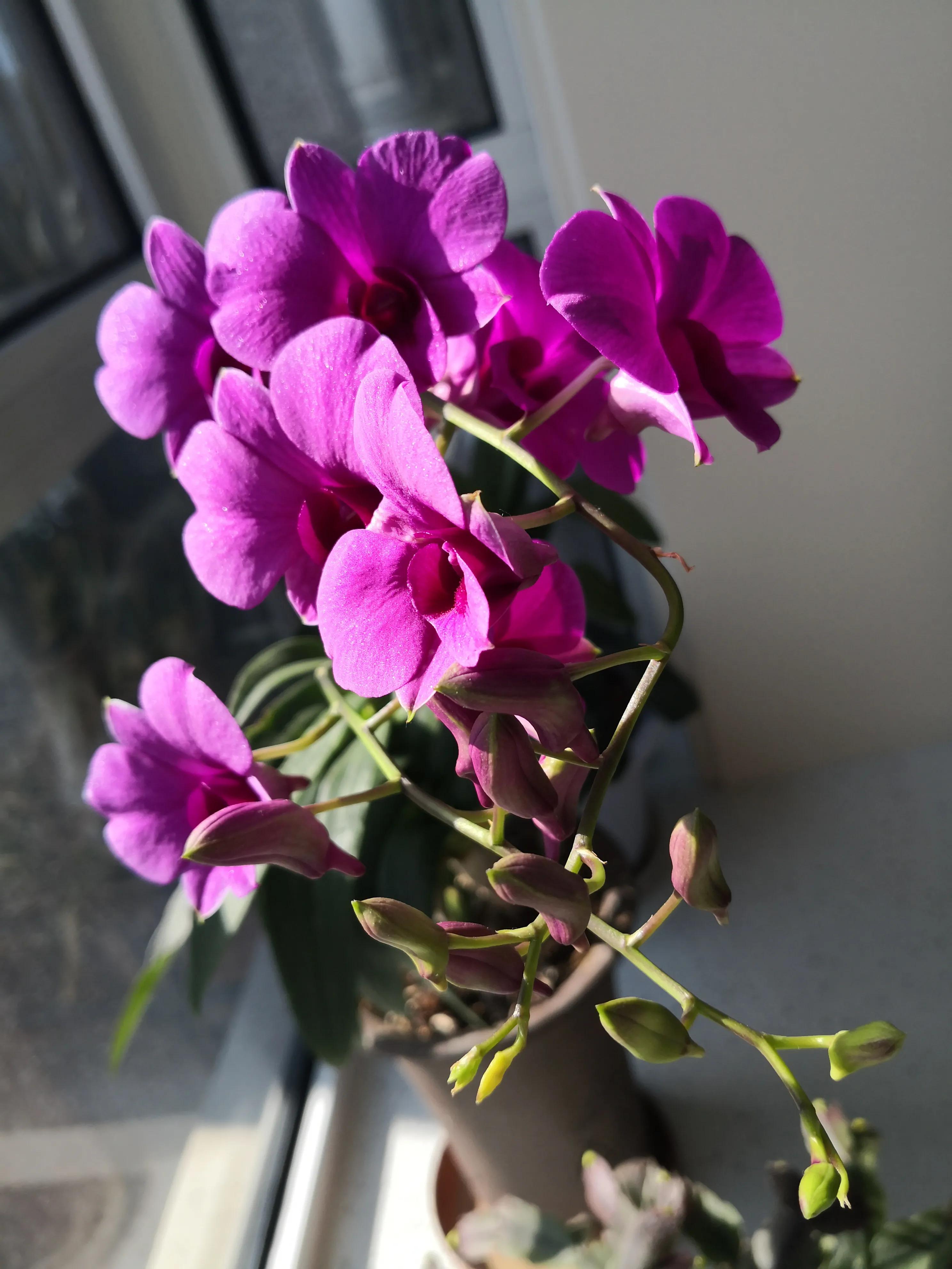 62年中国足球,足球少年62