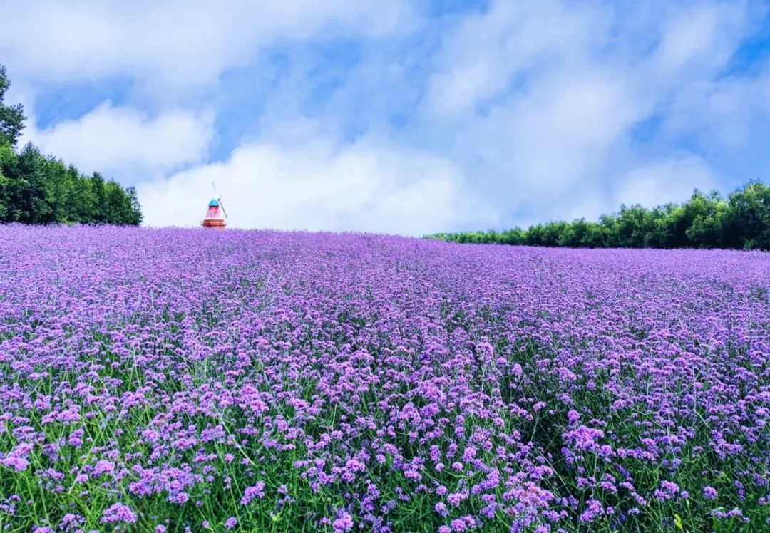 畅游吉林，龙潭区有5条精品线路！