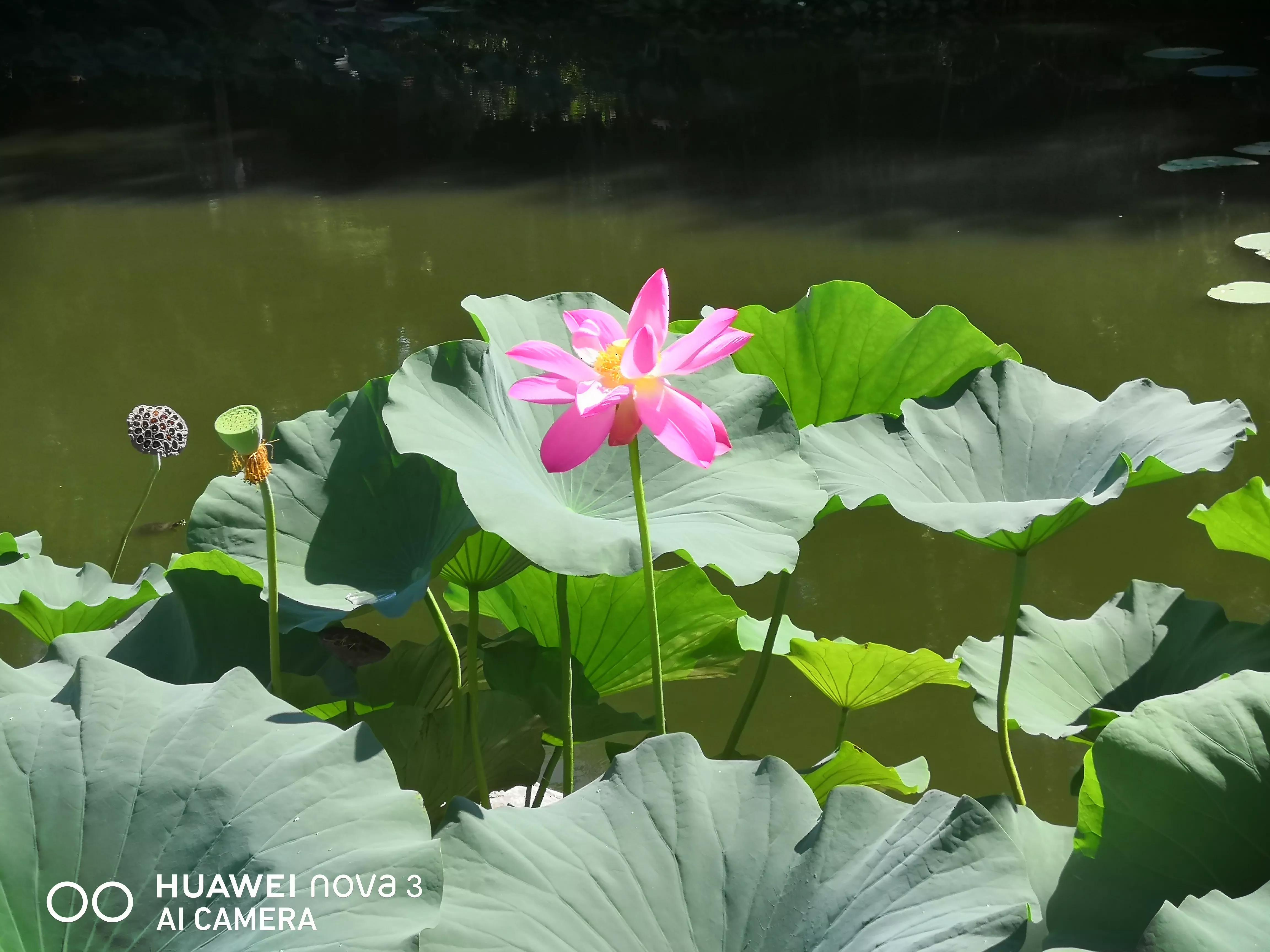 为何叫八大处,八大处从何而来