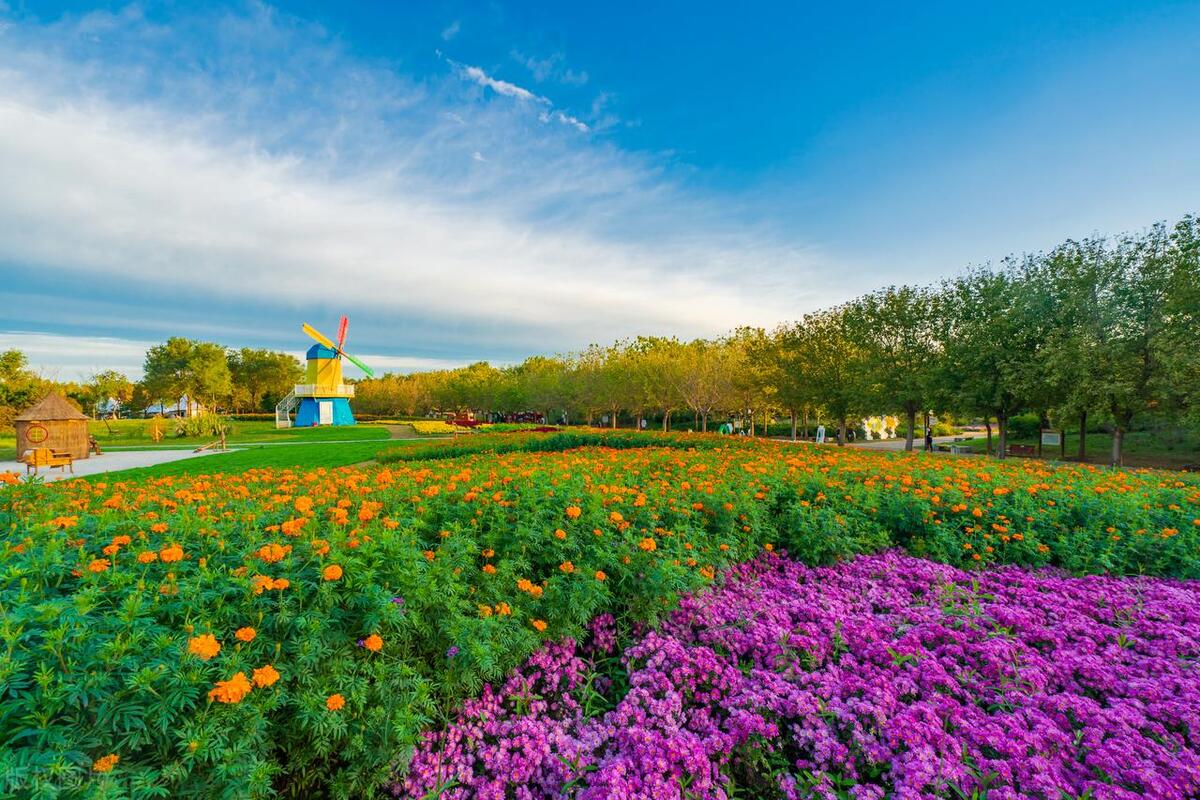 顺义区公园景点有哪些,北京顺义区十大旅游景点有哪些