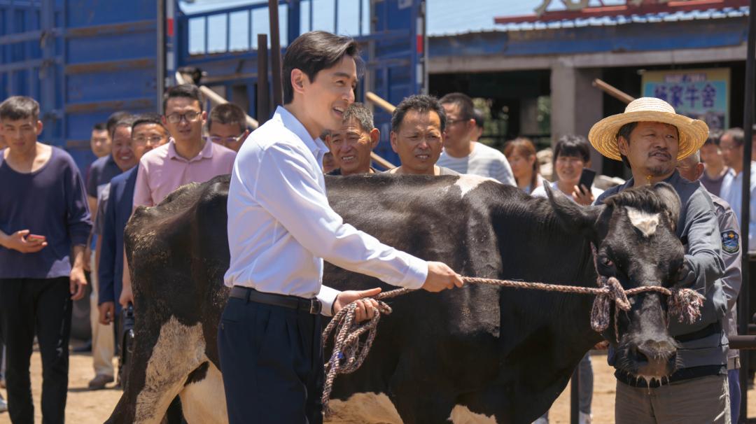 县委大院王小枪原著,县委大院原著作者王小枪