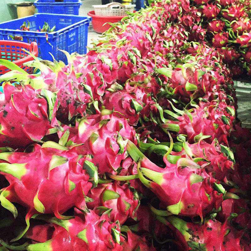 rcep涉及的农产品白糖,rcep农产品贸易政策