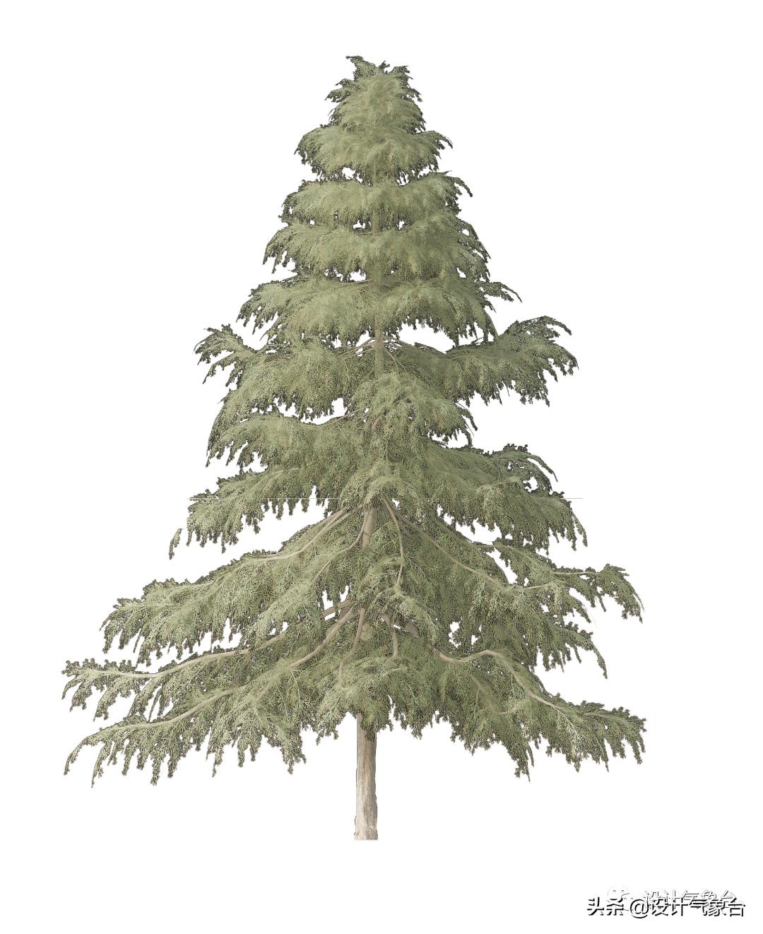 惜败扎哈事务所，但OMA的中国风方案留下一抹惊艳的色彩