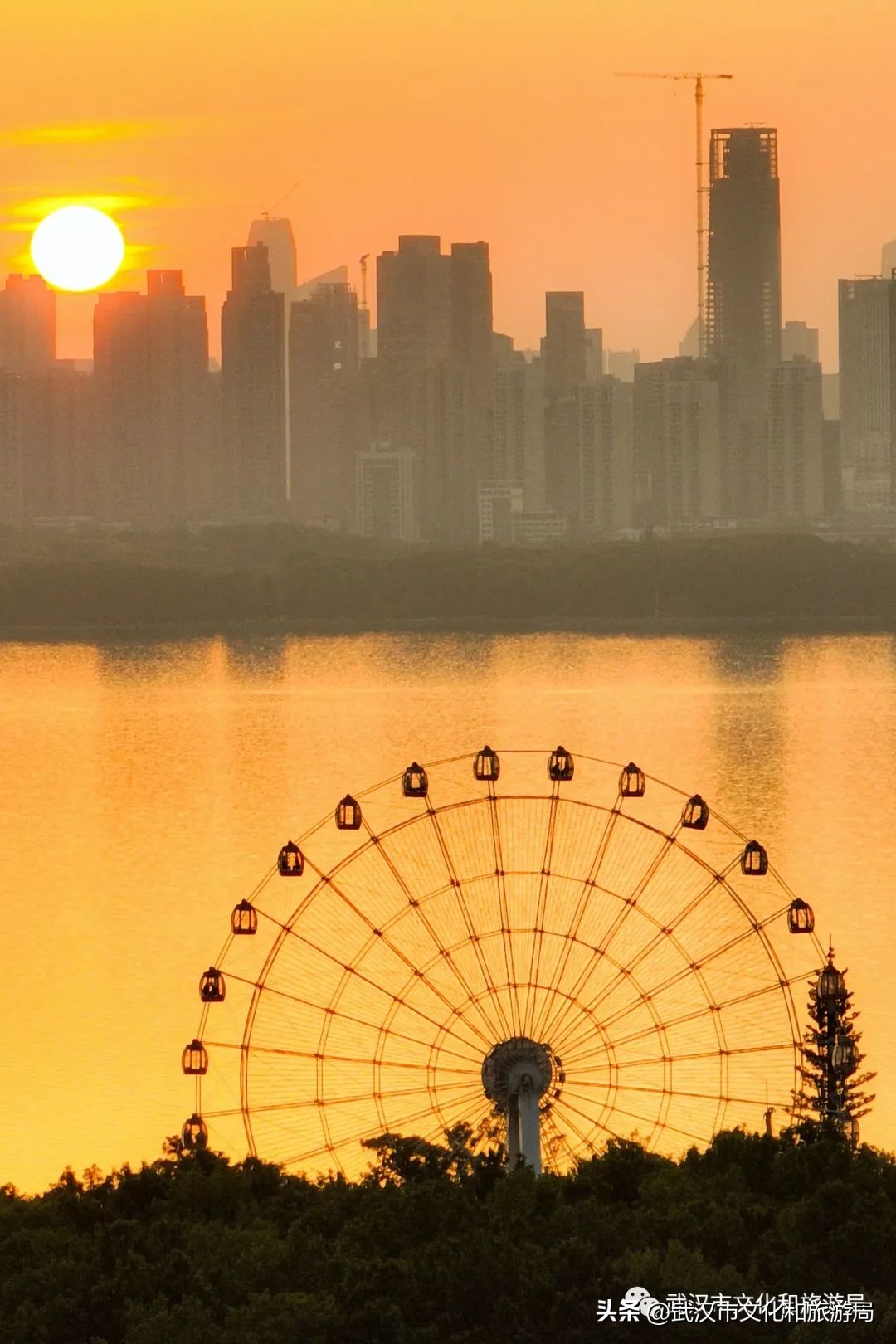 武汉不花钱看樱花地点,来武汉一定要看两坝一峡登黄鹤楼
