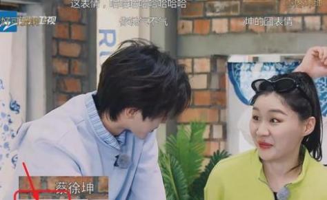 “贵公子”蔡徐坤：一枚胸针1000万，却惹上官司被冻结6400万资产