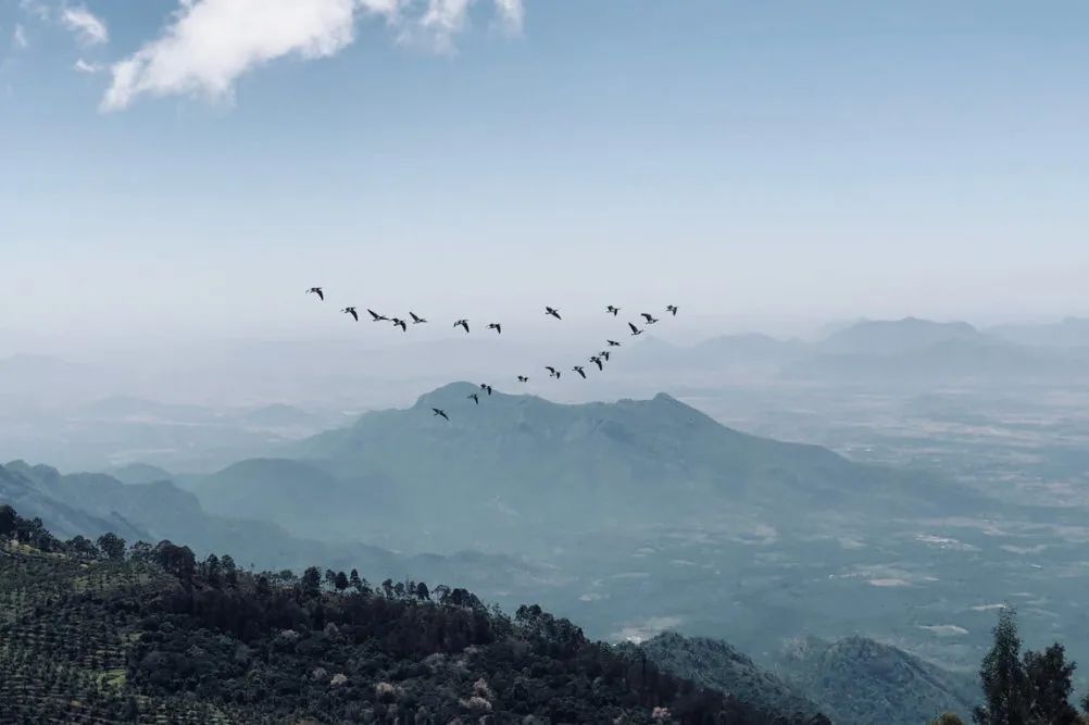 路桂军：生而有爱、别亦无憾