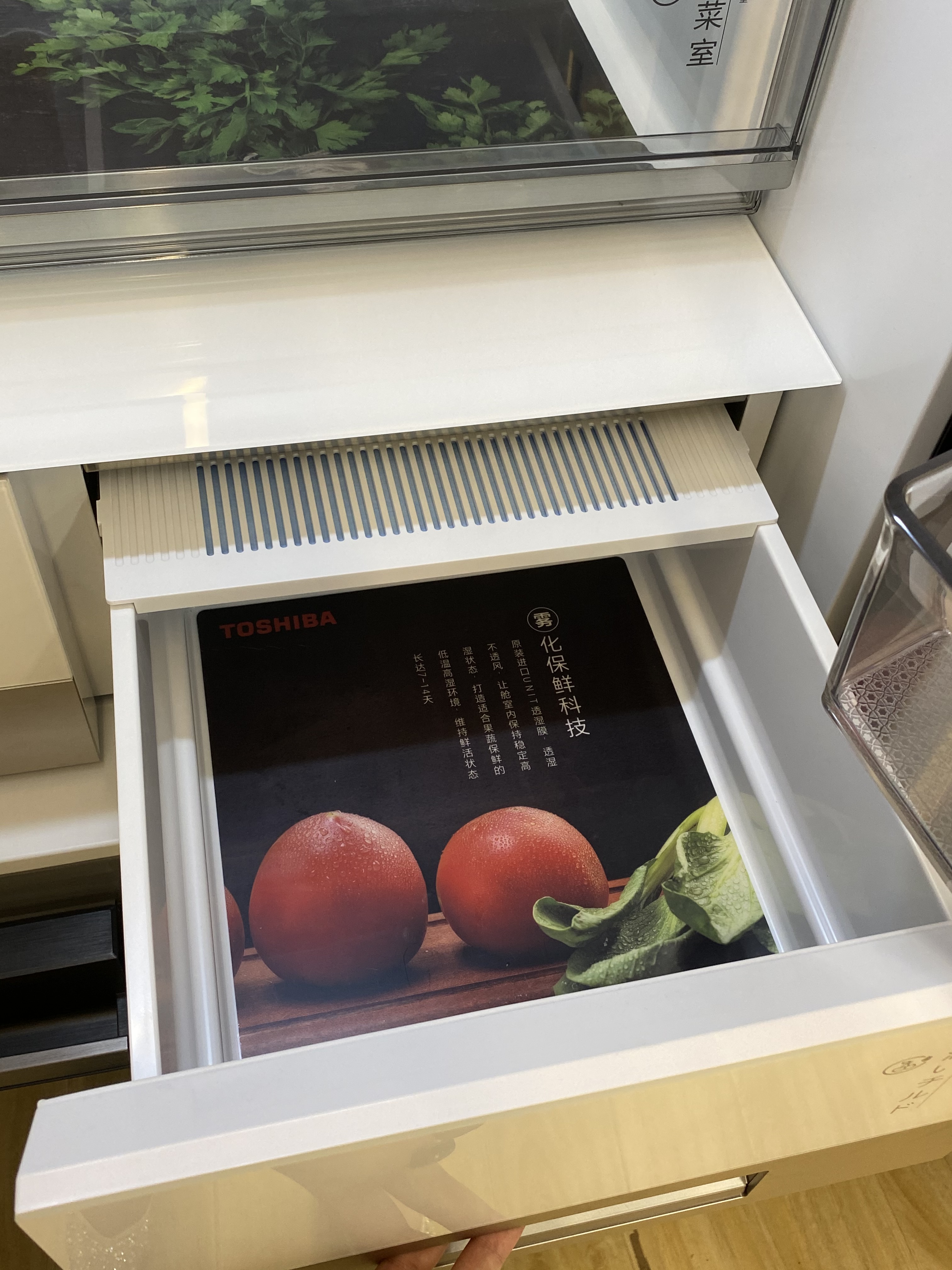 东芝冰箱多少钱四门,万元内法式冰箱