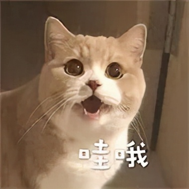 冬天运动减肥更有效吗,夏天减肥运动快速燃脂