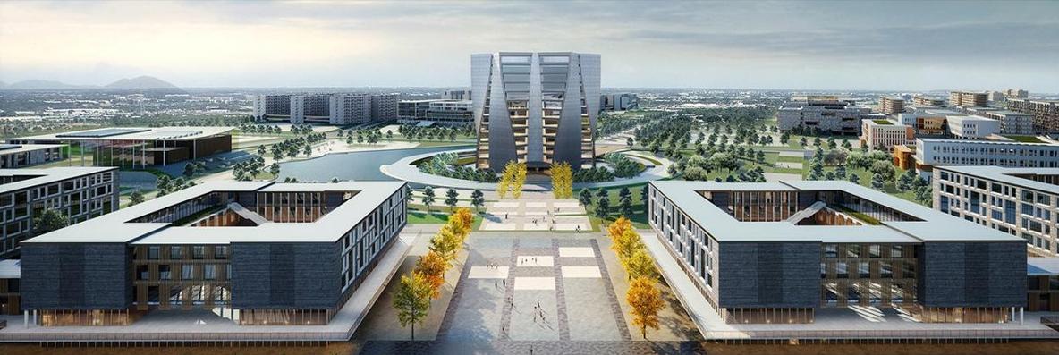 省教育厅发布！又一重要名单公布：南京林业大学2个“一流专业”上榜！