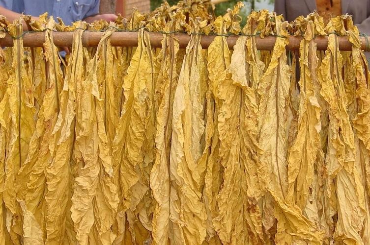 90年代的香烟怎么都消失了,上个世纪香烟之前长啥样