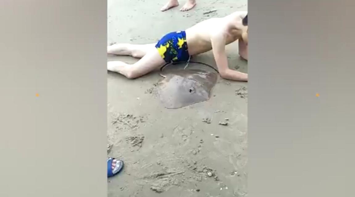 男子被魔鬼鱼毒刺扎,男子被魔鬼鱼蜇伤