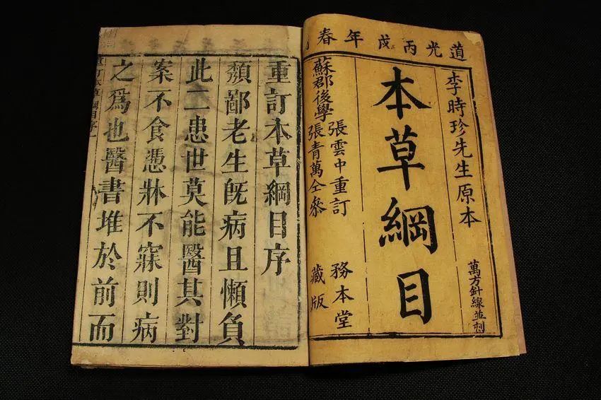 猴子粤语为什么叫马骝,广东话猴子为什么叫马骝