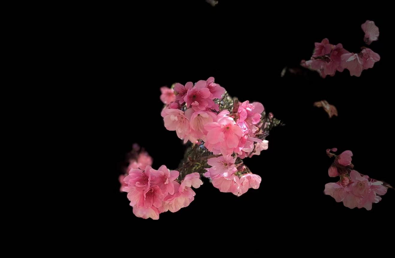 打工40年的人不敢创业,70后无钱创业怎么样