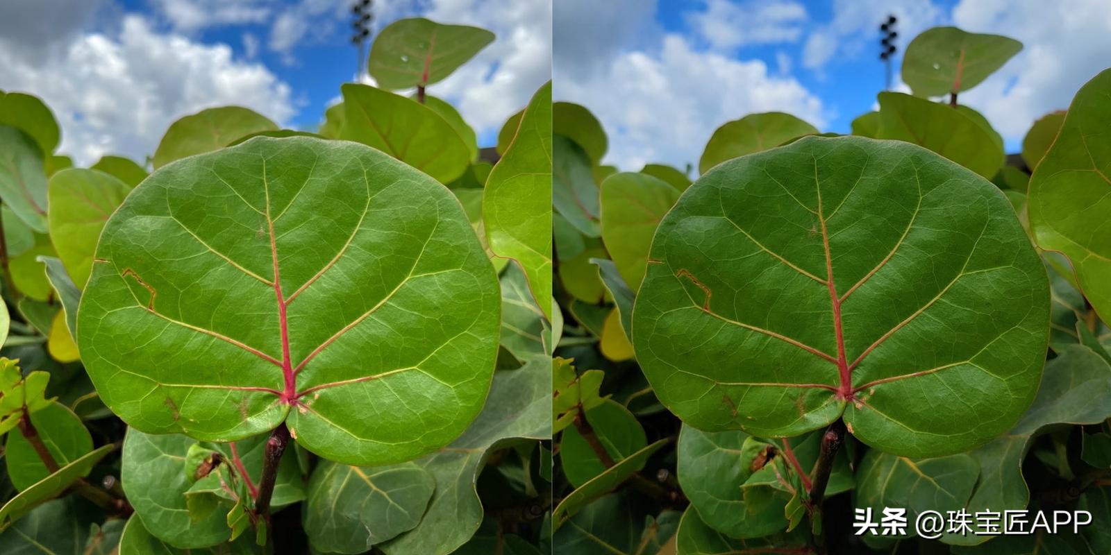 货不对板细节,货不对版玉手镯
