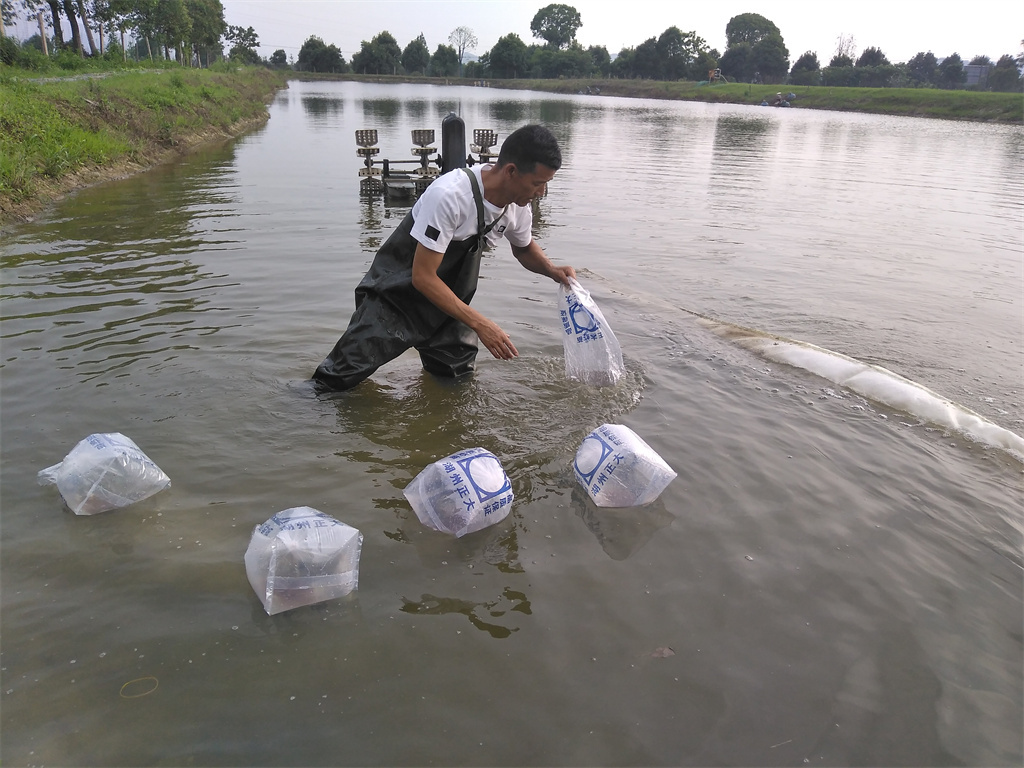 从门外汉到养殖能手,从门外汉到精英骨干