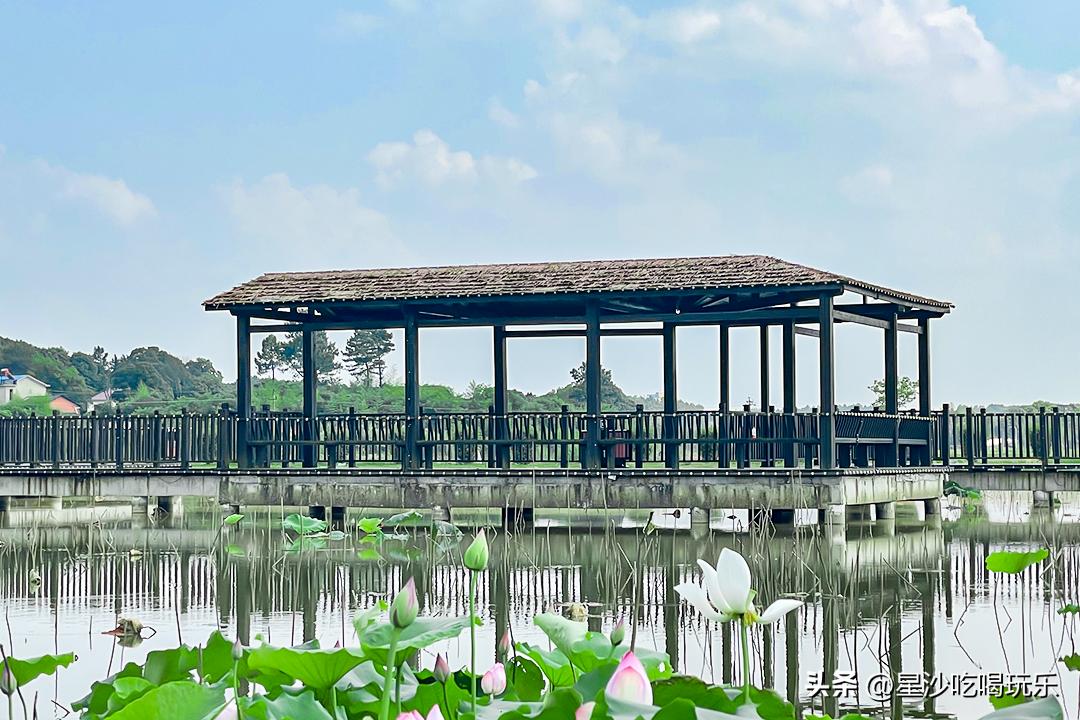 星沙一日游景点大全集,星沙周边旅游景点排名
