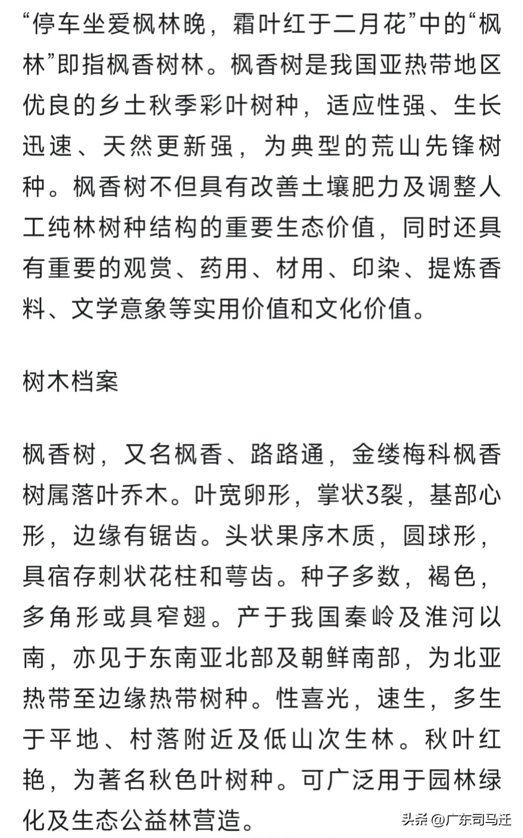 好玩的中山公园,中山公园这儿真美