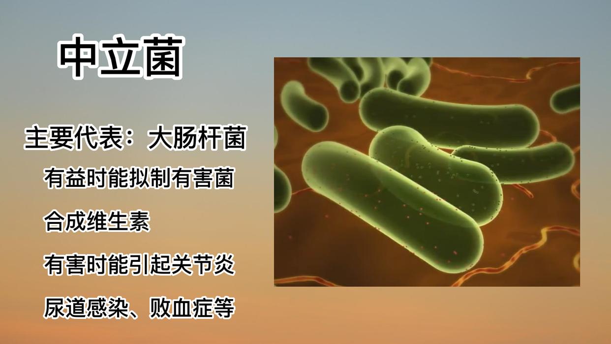 人体细菌数量是细胞数的多少倍,人体内的细胞和细菌数量哪个多
