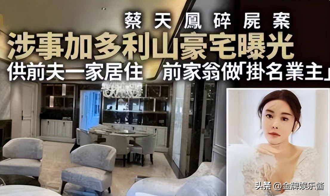 蔡天凤案相片,蔡天凤被害案背后的关系