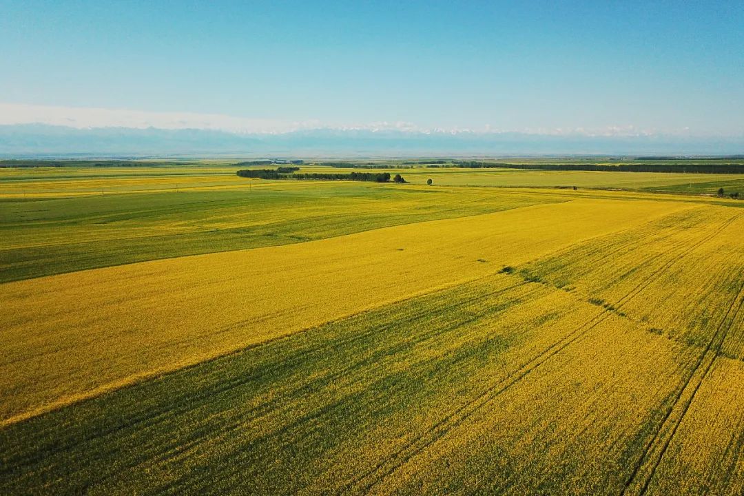 从伊犁出发的南北疆旅游攻略,火爆的新疆游