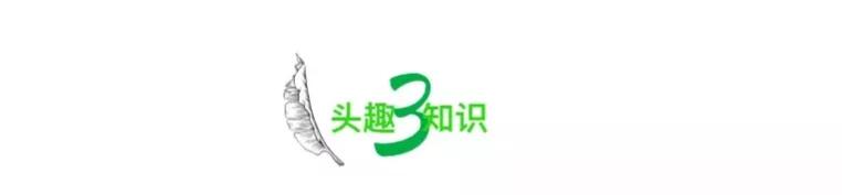 妈妈给闺女转1万的图片,妈妈发200给女儿买小熊