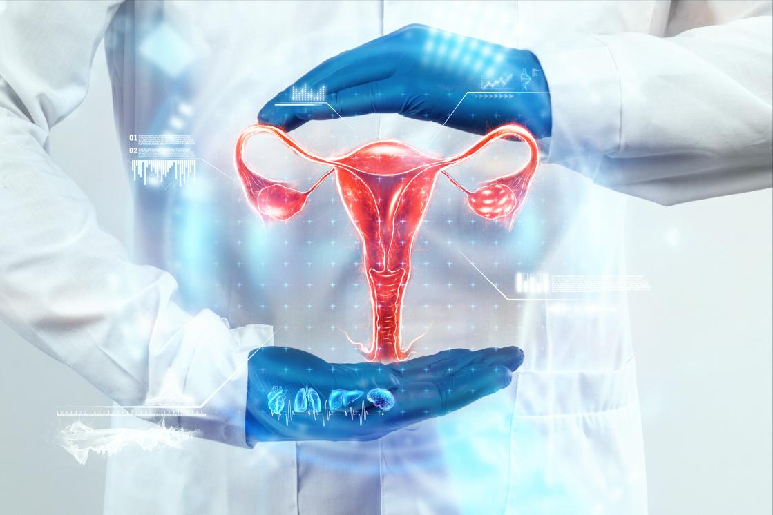 内阴部肥大是什么原因引起的,下体肥大是什么症状