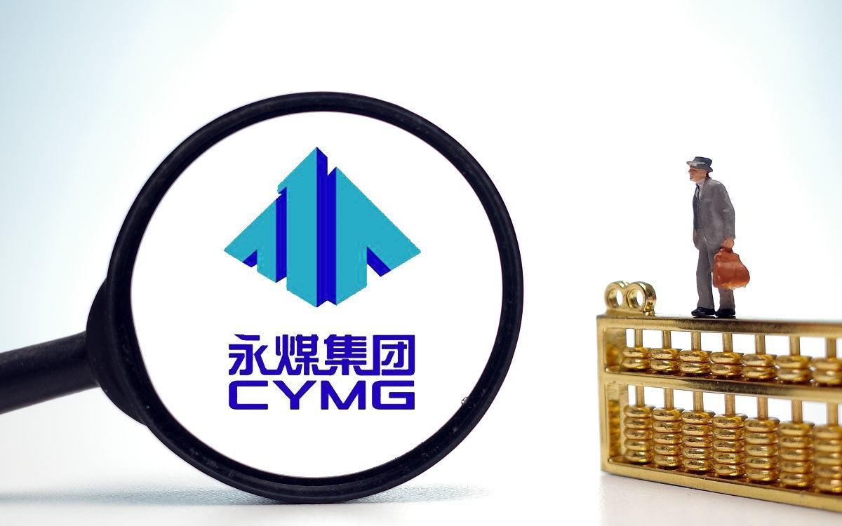 深度解析永鼎股份,永鼎股份未来5年的发展