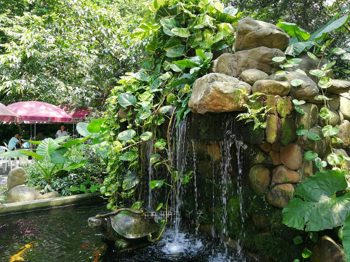 广州一日游最佳路线免费好玩景点,广州游玩景点一日游推荐路线