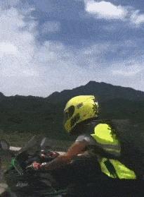 老鼠贴粘大老鼠跑了会死吗,老鼠贴粘到鸟违法吗