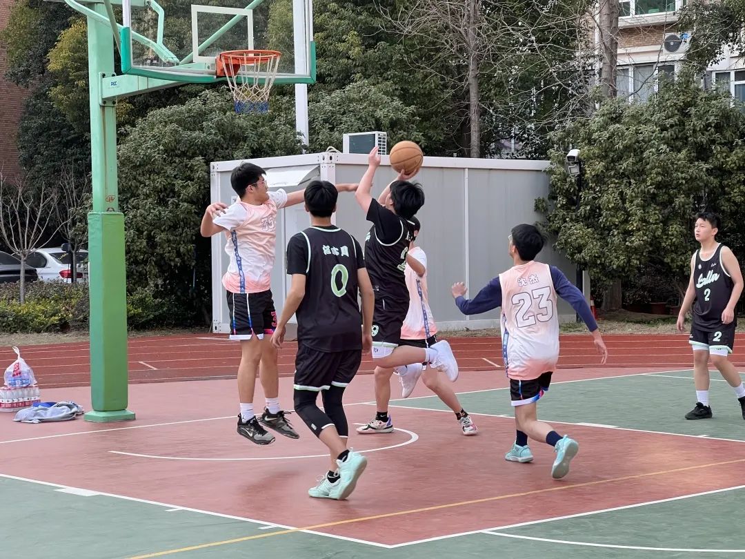 上海文来,上海文来实验学校