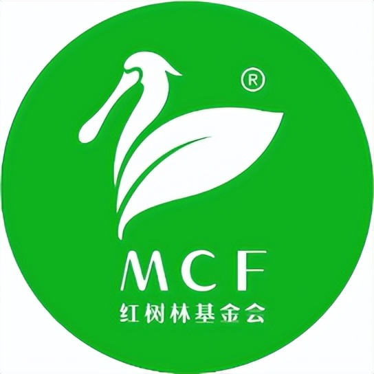 最震撼的红树林,最不真实的红树林