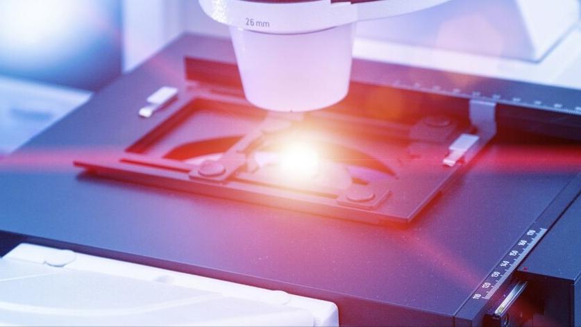 “*处私**”的毛有什么用？能剪吗？提醒：有2种情况，剪掉反而更好