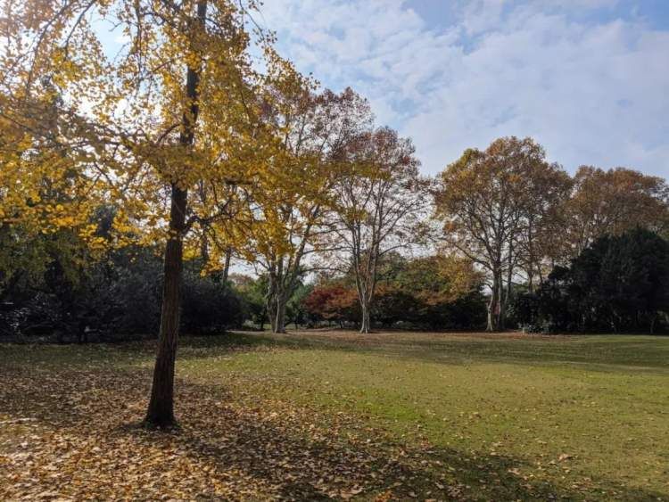 最值得打卡的动物园,国庆必打卡动物园推荐