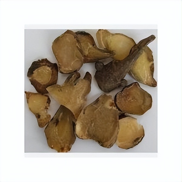 男性补肾专用药有哪些,男性补肾壮阳药推荐